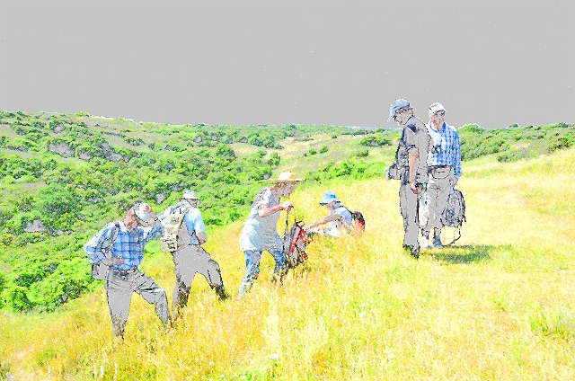 18 07 13_5530_edited-1.jpg - BNSS, DURLSTON HEAD, DORSET - 17.7.13